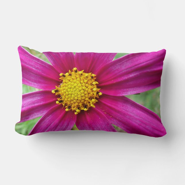 Purple Cosmos Wildflower Lumbar Pillow (Front)