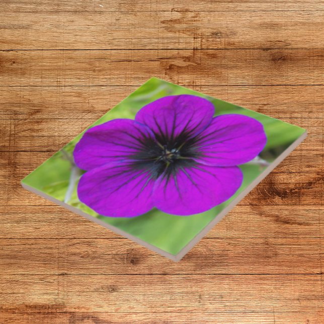 Purple Cranesbill Geranium Floral Ceramic Tile (In Situ)
