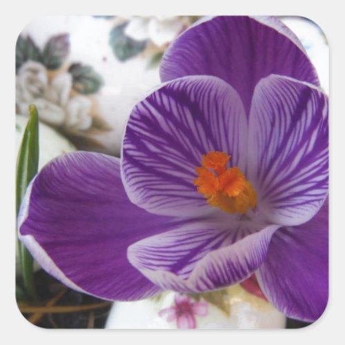 Purple Crocus and Floral Easter Eggs Square Sticker