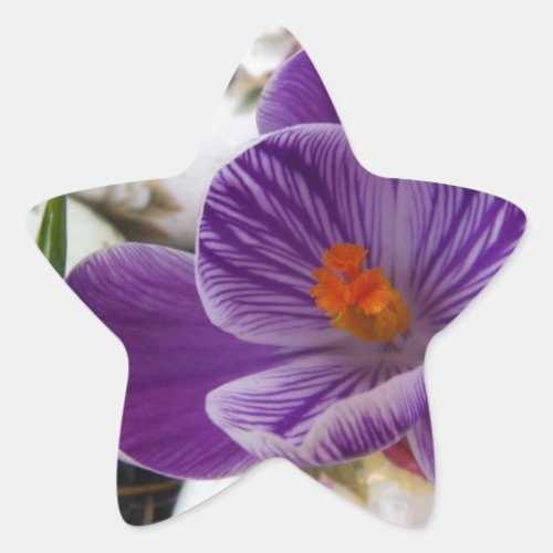 Purple Crocus and Floral Easter Eggs Star Sticker