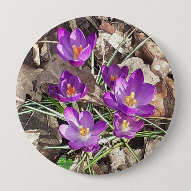 Purple Crocus Button (Front)