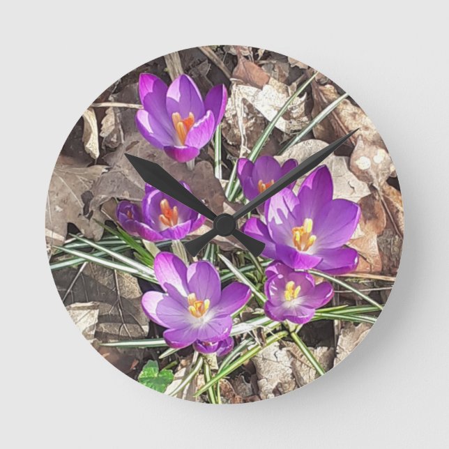 Purple Crocus Clock (Front)