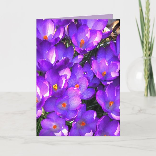 Purple Crocus Flower Blank Card