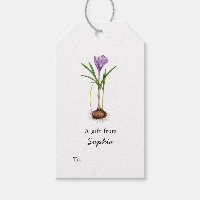 Purple Crocus Flower Gift tags (Front)