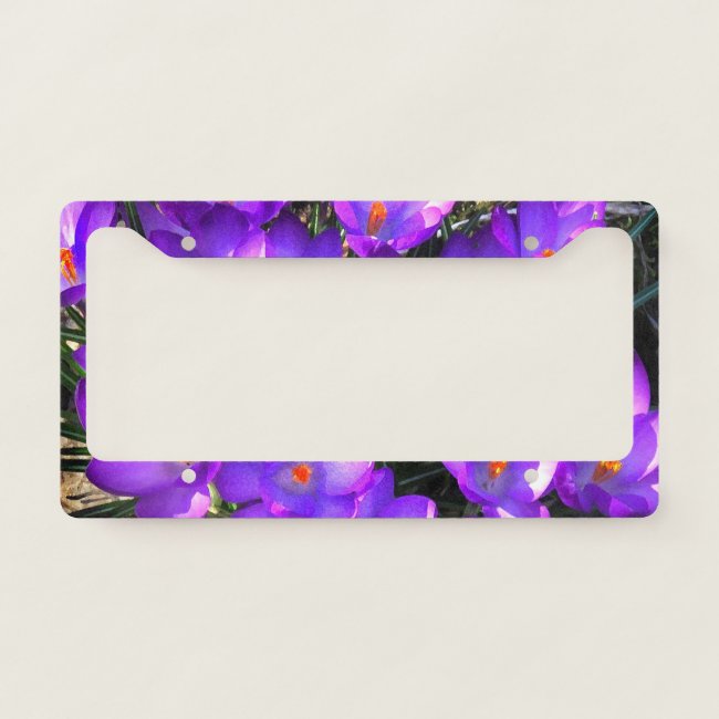 Purple Crocus Flower Pattern License Plate Frame
