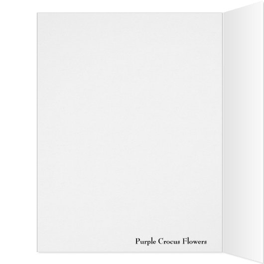 Purple Crocus Flowers (Inside (Left))