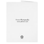 Purple Crocus Flowers (Back)