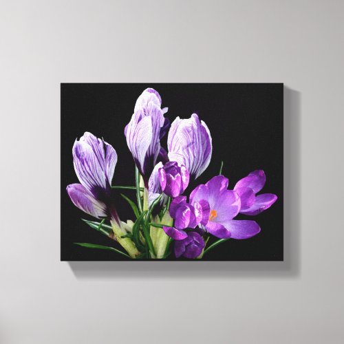 Purple crocus flowers boho modern digital fine art canvas print