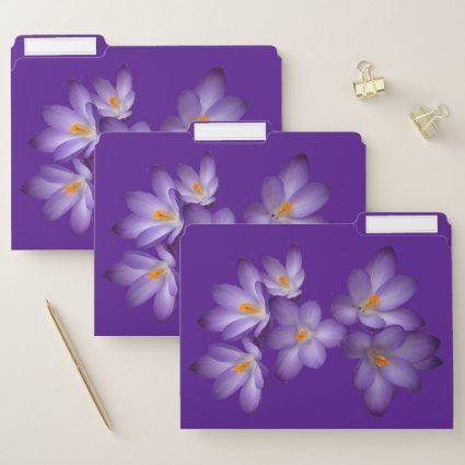 Purple Crocus Flowers Floral File Folder Set