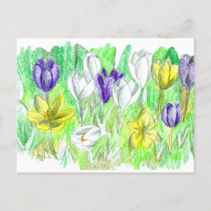 Purple Crocus Flowers Forest Floor Spring Art Postcard