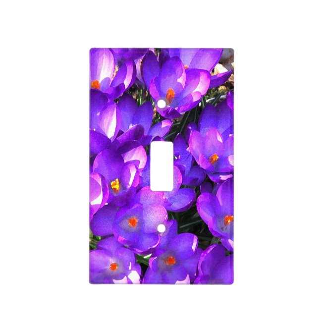 Purple Crocus Flowers Light Switch Cover
