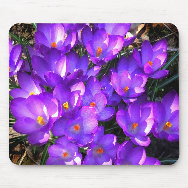 Purple Crocus Flowers Mousepad