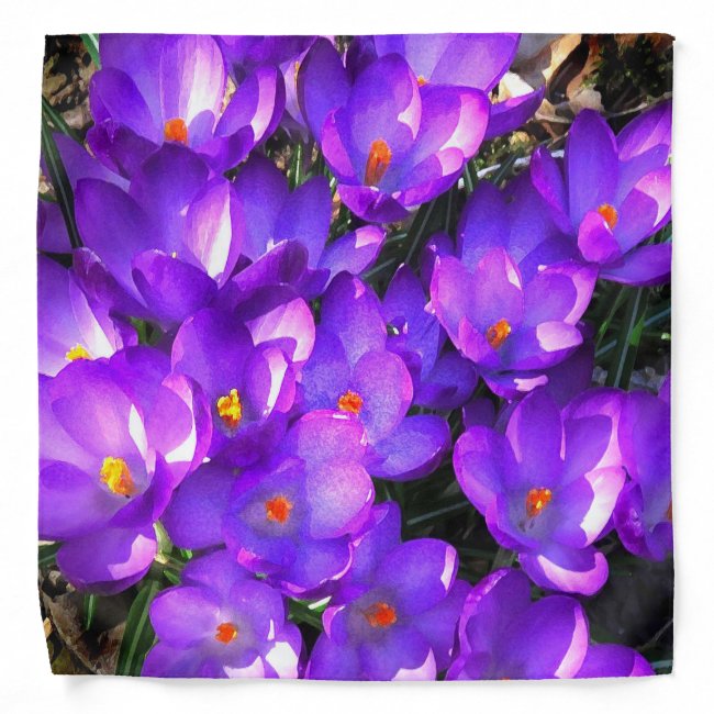 Purple Crocus Flowers Pattern Bandana