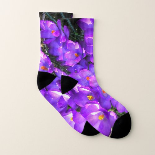Purple Crocus Flowers Pattern Socks