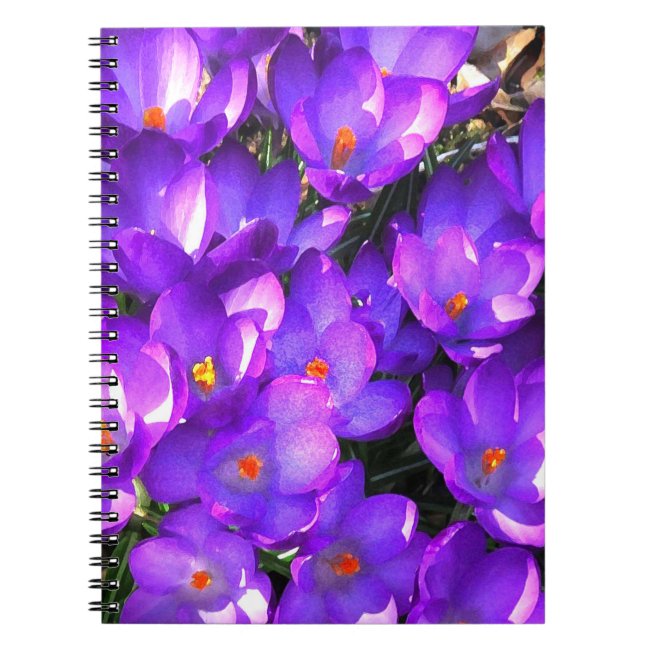 Purple Crocus Flowers Spiral Notebook