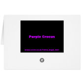 Purple Crocus Greeting Card (Back Horizontal)