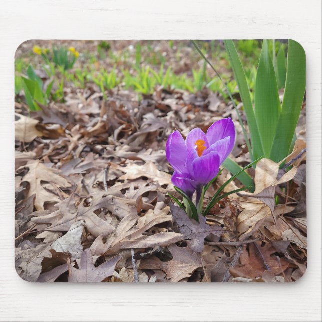 Purple Crocus in Leaves Mouse Pad (Front)