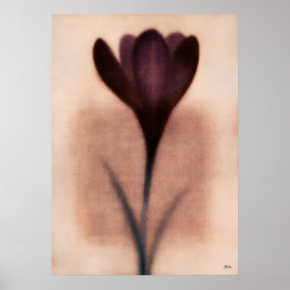 Purple Crocus Japanese Floral Abstraction Poster