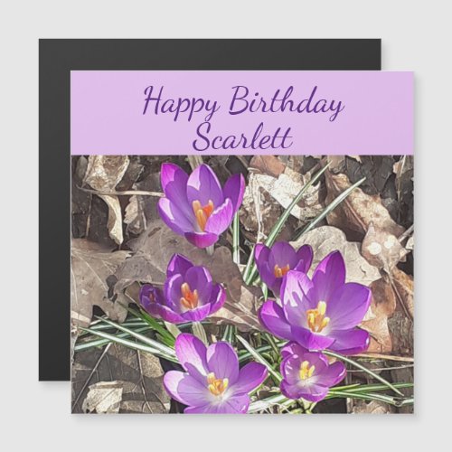 Purple Crocus Magnetic Birthday Card