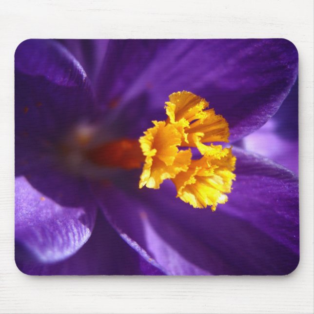 Purple Crocus Mouse Pad (Front)