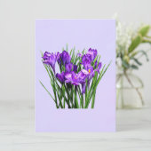 Purple Crocuses (Standing Front)