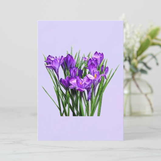 Purple Crocuses (Standing Front)