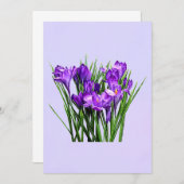 Purple Crocuses (Front/Back)