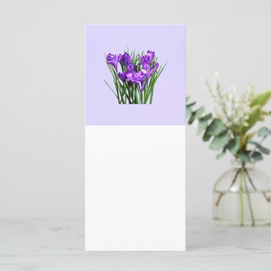 Purple Crocuses (Standing Front)