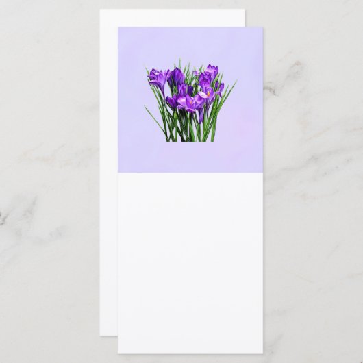 Purple Crocuses (Front/Back)