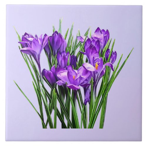 Purple Crocuses Ceramic Tile