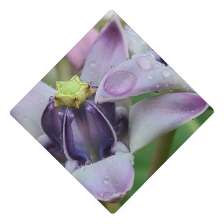 Purple Crown Flower Graduation Cap Topper