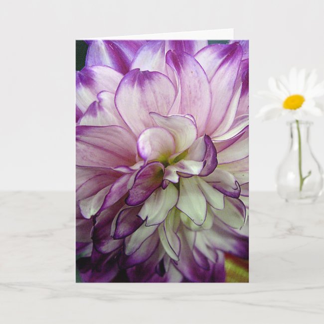 Purple Dahlia Design Blank Notecard