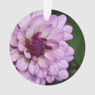 Purple dahlia flower blossoms christmas ornament
