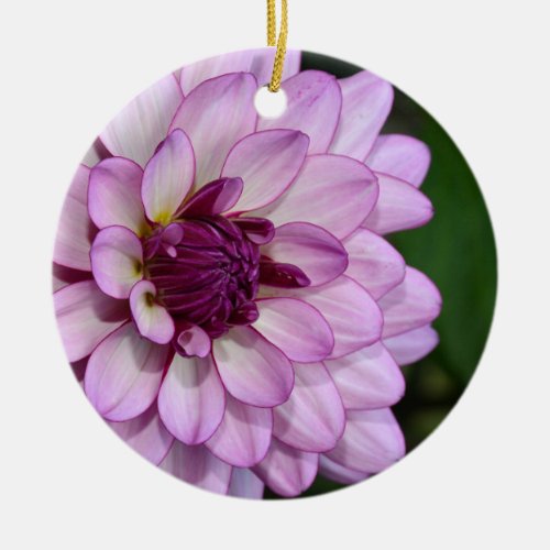 Purple dahlia flower blossoms christmas ornament