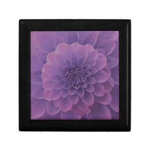 Purple Dahlia Gift Box
