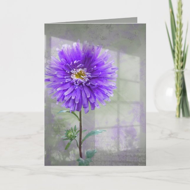 Purple Dahlia In Window Shadow Card (Front)
