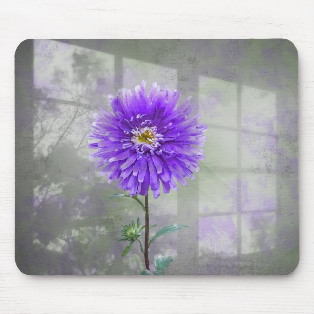 Purple Dahlia In Window Shadow Mouse Pad (Front)