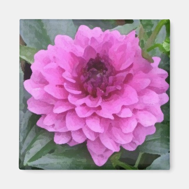 Purple dahlia magnet (Front)