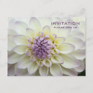 Purple Dahlia • Rehearsal Dinner Invitation Postcard