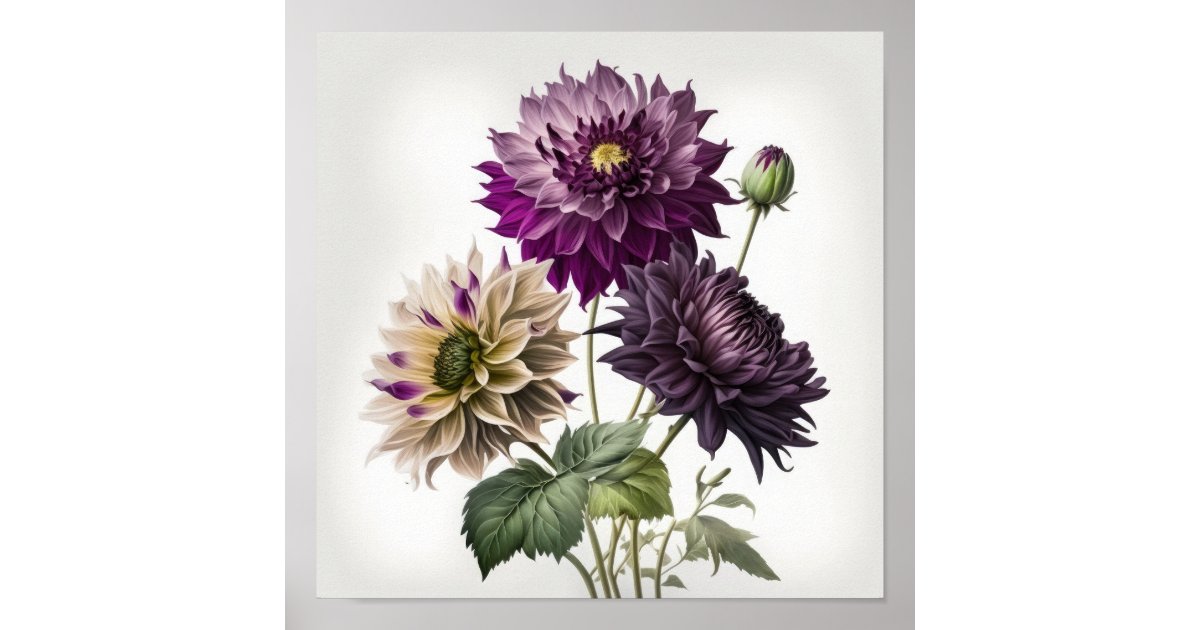 Purple Dahlias Flower Art Print Poster | Zazzle
