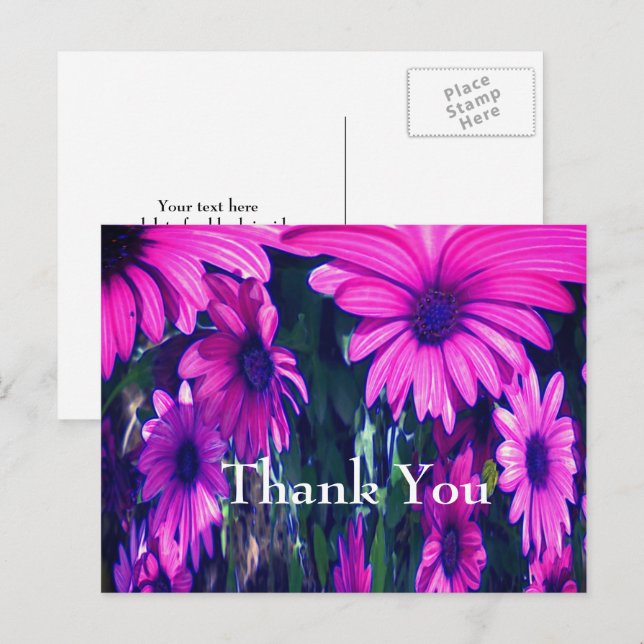Purple Daisies Abstract Floral Thank You Postcard (Front/Back)