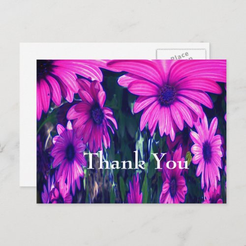 Purple Daisies Abstract Floral Thank You Postcard