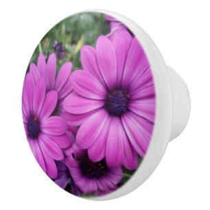 Purple daisies ceramic knob