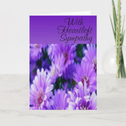 Purple Daisies Heartfelt Sympathy Card | Zazzle