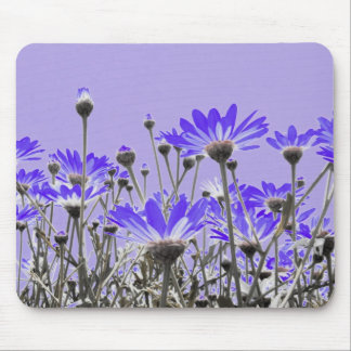 Purple Daisies Mousepad