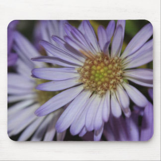 Purple Daisies Mousepad