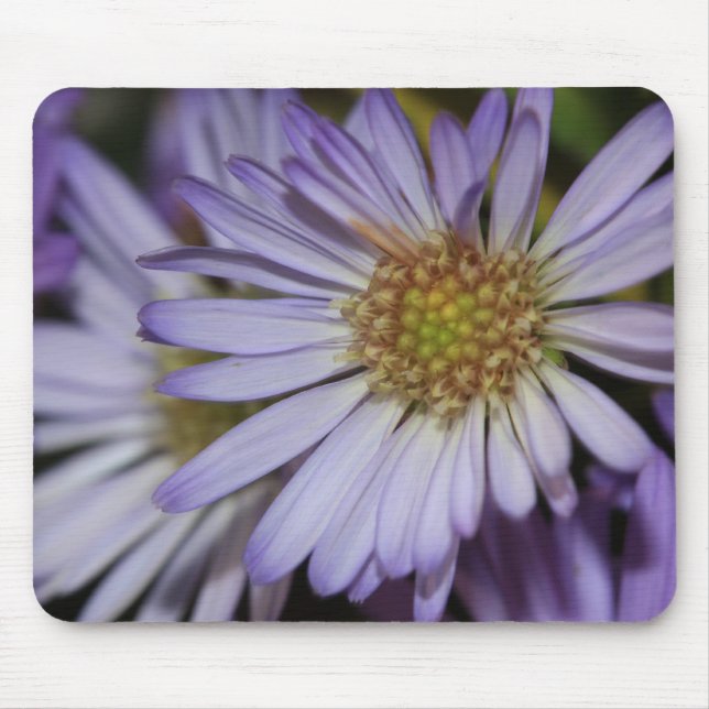 Purple Daisies Mousepad (Front)