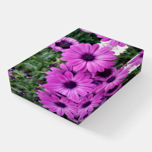 Purple daisies paperweight