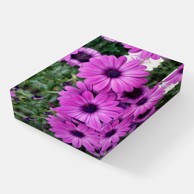 Purple daisies paperweight (Angled)