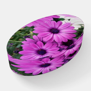Purple daisies paperweight